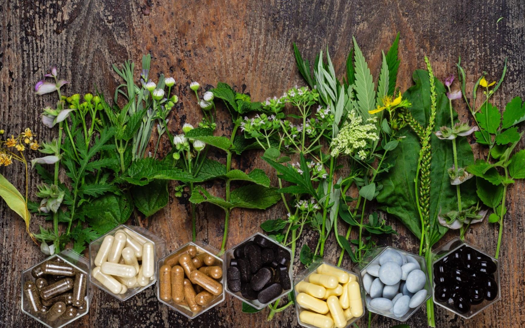 Innovations nutraceutiques révolutionnent bien-être et performance globale